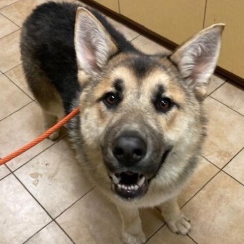 Photo for 83452 [Eddie]