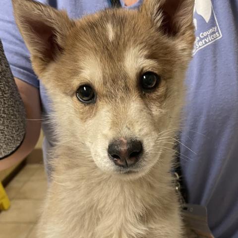 Photo for 87302 [Aria]