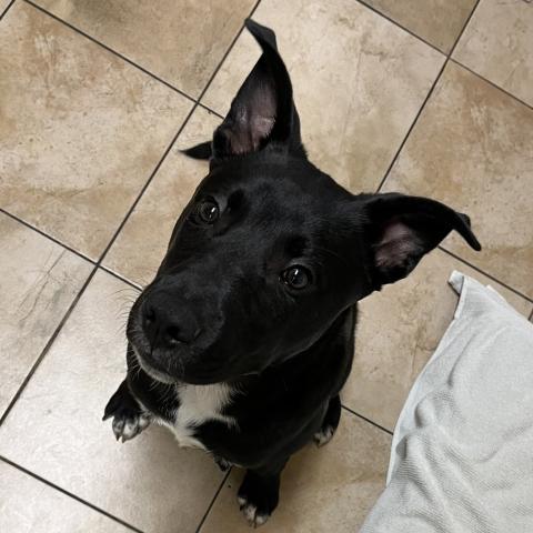 Photo for 90667 [Ezra]