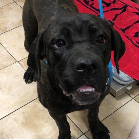 Photo for 94182 [Jill]