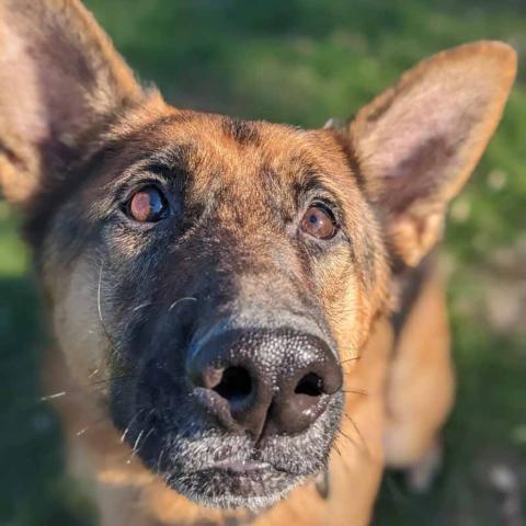 Photo for 99869 [Axel]