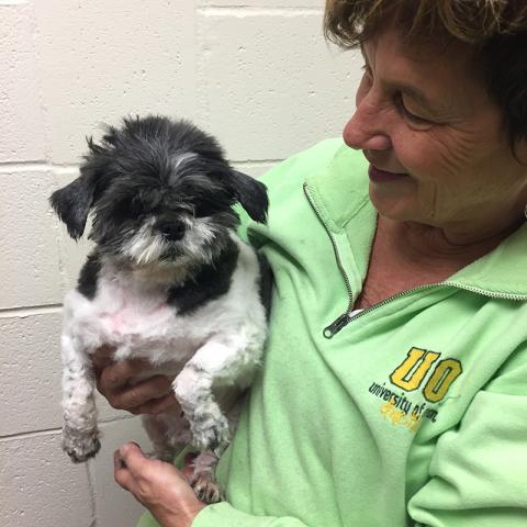 Volunteer holding a small dog