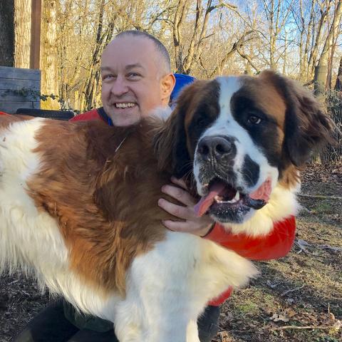 Volunteer crouches with a senior St. Bernard dog