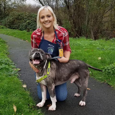 Kelly S kneeling behind a dog
