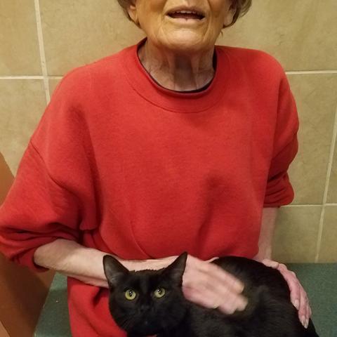 Woman sitting with a cat on her lap