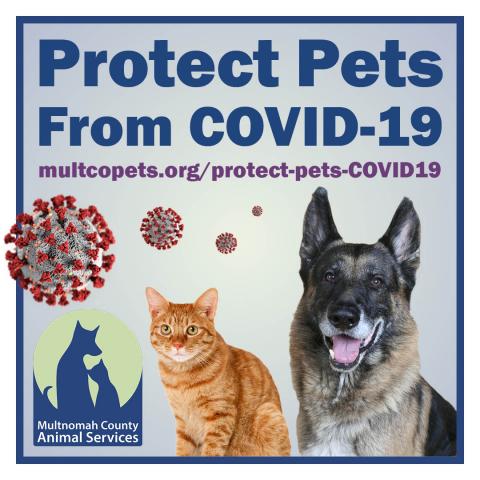 Protect Pets from COVID-19