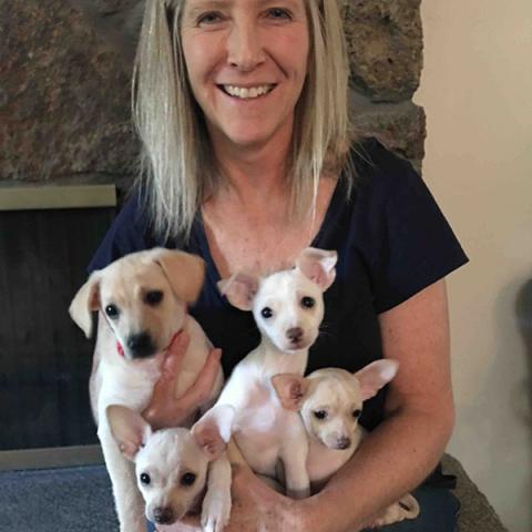 Woman holding an adult dog and her puppies