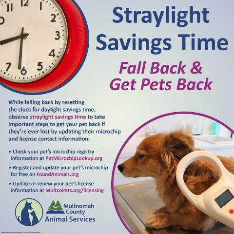 Straylight Savings Time Graphic - with detail to share on social media
