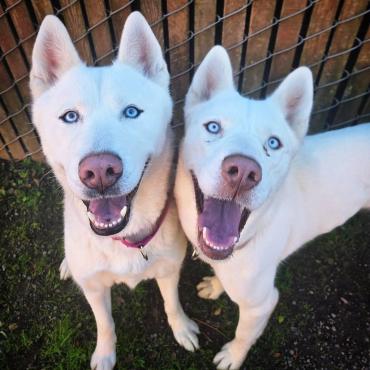 Photo for 148896 [Pinky]