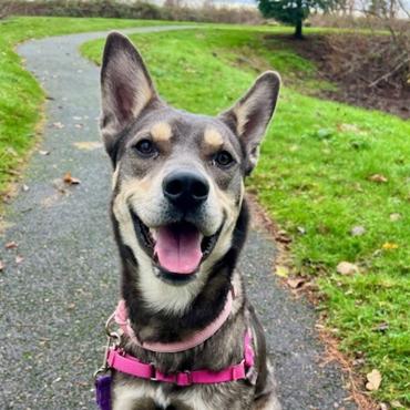 Photo for 150118 [Snowdrop]