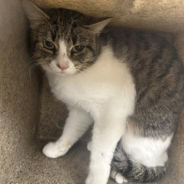 Photo for 153659 [Sheldon]