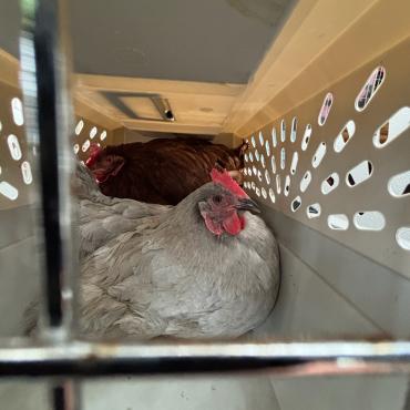 Photo for 154660 [Sneezy]