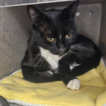 Photo for 154662 [Riley]