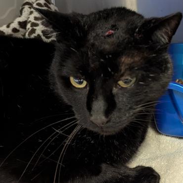 Photo for 154905 [378420]