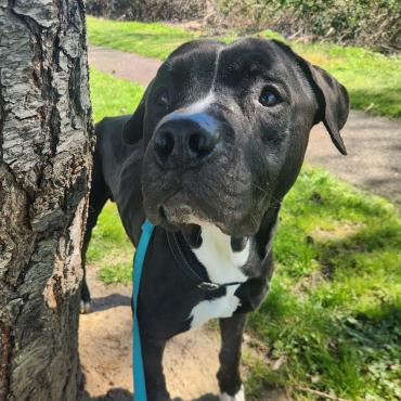 Photo for 156375 [Cuby]