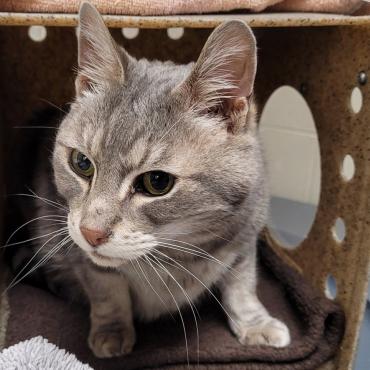 Photo for 158007 [Leap Year]