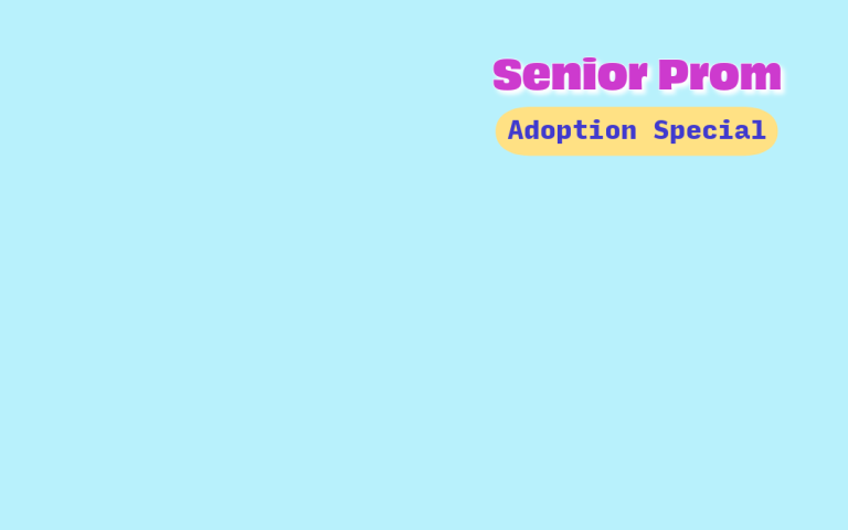 Senior Prom Adoption Special title graphic - hot magenta on light blue