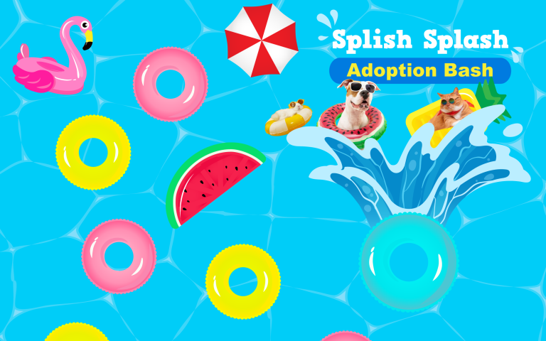 Splish Splash Adoption Bash graphic of a pool with vibrant summer floats, and a dog, cat, and rabbit with sunglasses.